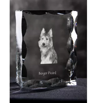 Picardy Sheepdog, Berger Picard, Picardy Shepherd - crystal with a picture of a dog, glass statuette with a picture, unique frame with a picture from Art-Dog brand