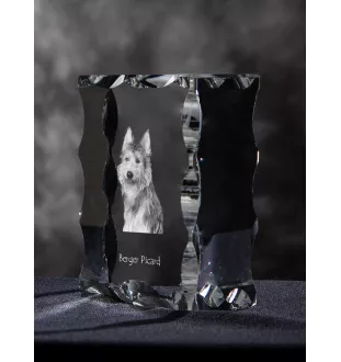 Berger de Picardie, Berger Picard - Kristall mit einem Hundebild, Glasstatuette mit einem Bild, einzigartiger Bilderrahmen der Marke Art-Dog