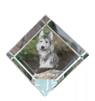 Picardy Sheepdog, Berger Picard, Picardy Shepherd - crystal cube with a photo, photo of a horse in crystal, cubic paperweight from Art-Dog brand