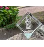 Berger de Picardie, Berger Picard - Kristallwürfel mit Bild, Pferdebild im Kristall, sechseckiger Papierclip der Marke Art-Dog