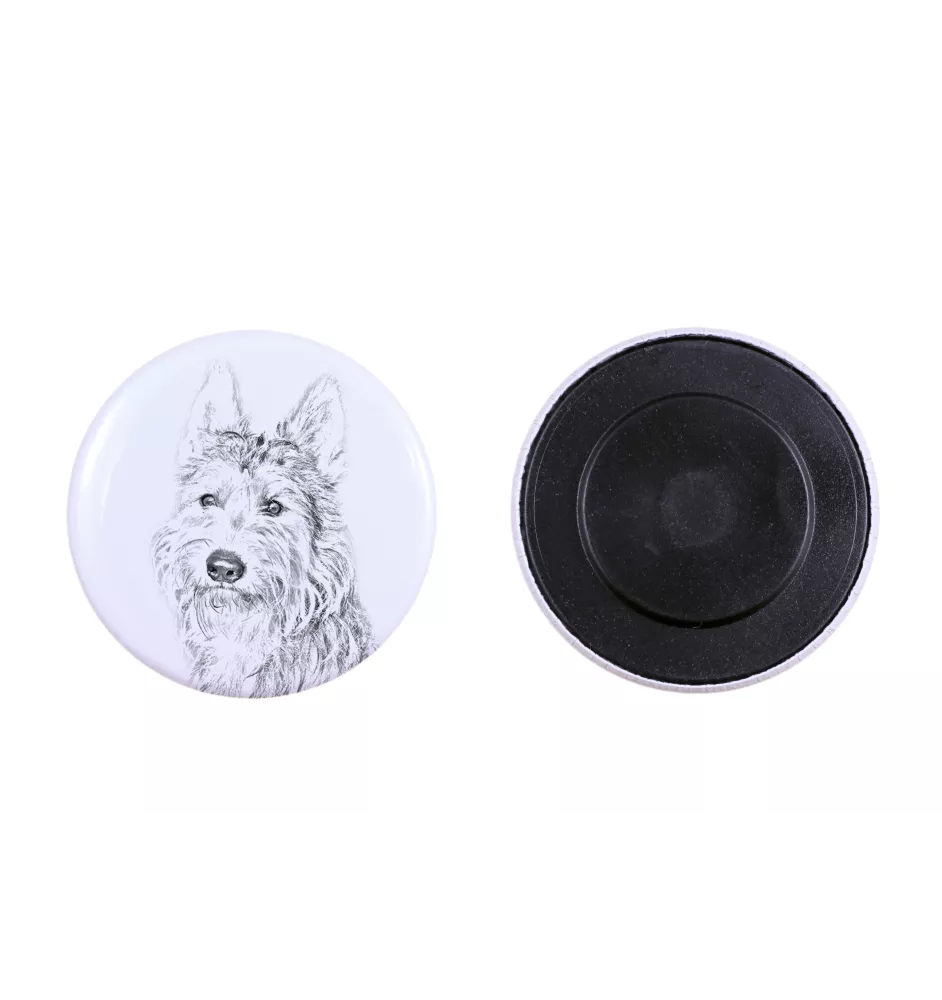 Berger de Picardie, Berger Picard - aimant avec un œil de chien, exceptionnellement léger, aimant puissant, produit fabriqué à la main par la marque Art-Dog