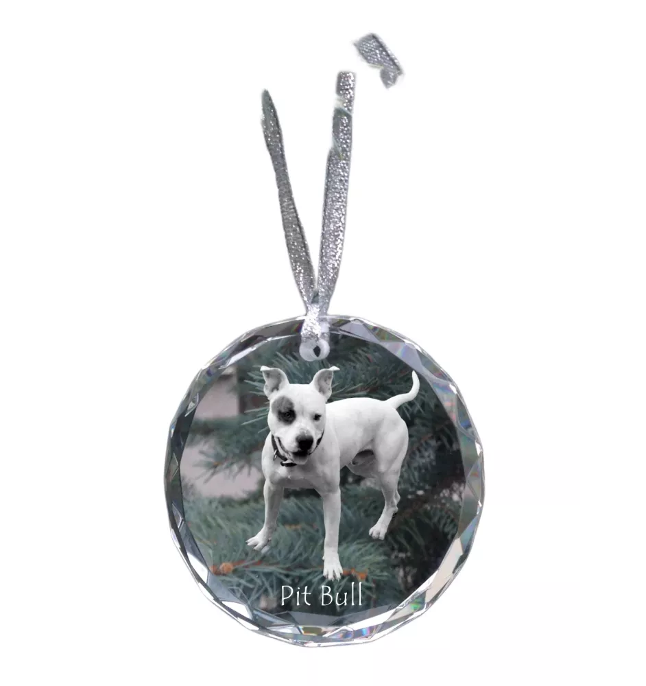 Pit Bull, American Pit Bull Terrier, Pitbull, APBT - Kristallkugel mit Foto, Hundebild im Kristall, personalisierter Christbaumschmuck von Art-Dog.