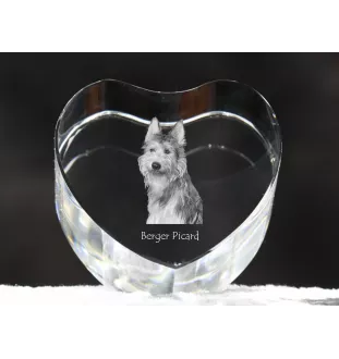 Picardy Sheepdog, Berger Picard, Picardy Shepherd - a photo of a dog in crystal, crystal heart, unique photo frame from the Art-Dog brand