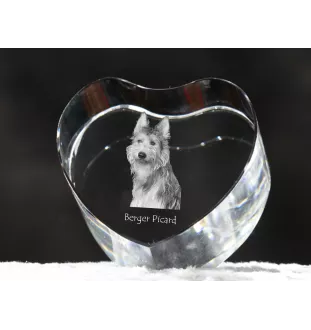 Picardy Sheepdog, Berger Picard, Picardy Shepherd - a photo of a dog in crystal, crystal heart, unique photo frame from the Art-Dog brand