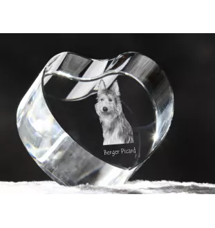 Picardy Sheepdog, Berger Picard, Picardy Shepherd - a photo of a dog in crystal, crystal heart, unique photo frame from the Art-Dog brand