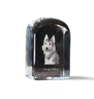 Picardy Sheepdog, Berger Picard, Picardy Shepherd - crystal cube with a photo, photo of a dog in crystal, cubic paperweight from Art-Dog brand