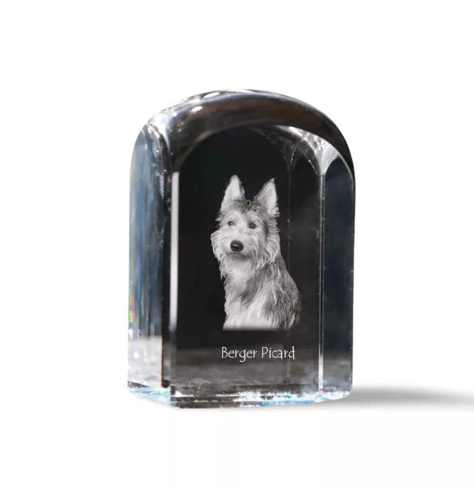 Picardy Sheepdog, Berger Picard, Picardy Shepherd - crystal cube with a photo, photo of a dog in crystal, cubic paperweight from Art-Dog brand