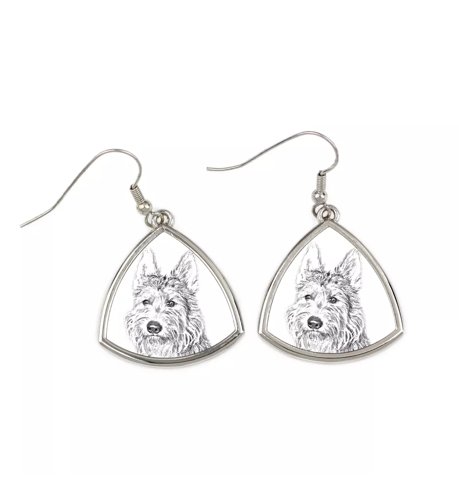 Berger de Picardie, Berger Picard - boucles d'oreilles avec chien, boucles d'oreilles pendantes avec photo, bijoux personnalisés avec impression de la marque Art-Dog