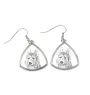 Berger de Picardie, Berger Picard - boucles d'oreilles avec chien, boucles d'oreilles pendantes avec photo, bijoux personnalisés avec impression de la marque Art-Dog