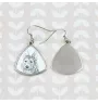 Berger de Picardie, Berger Picard - boucles d'oreilles avec chien, boucles d'oreilles pendantes avec photo, bijoux personnalisés avec impression de la marque Art-Dog