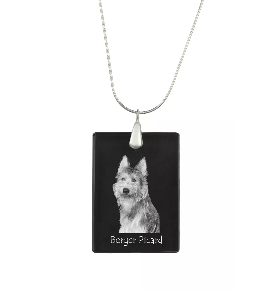 Berger de Picardie, Berger Picard - Pendentif en cristal avec chien, collier en argent avec photo, pendentif personnalisé par la marque Art-Dog