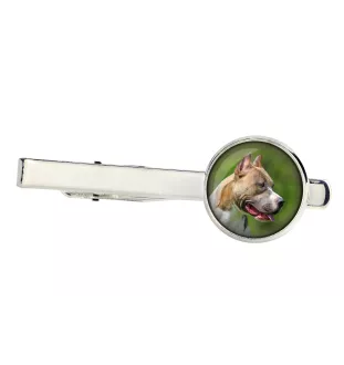 Pit Bull, American Pit Bull Terrier, Pitbull, APBT - pince à cravate dans une boîte, cravate élégante, bijoux personnalisés de la marque Art-Dog
