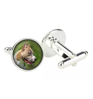 Pit Bull, American Pit Bull Terrier, Pitbull, APBT - Manschettenknöpfe in einer Schachtel, handgefertigter Schmuck, Produkt der Marke Art-Dog