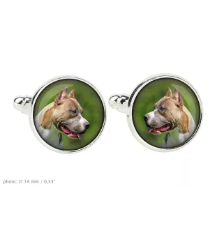 Pit Bull, American Pit Bull Terrier, Pitbull Terrier, APBT - cufflinks in a box, handmade jewelry, product of the Art-Dog brand