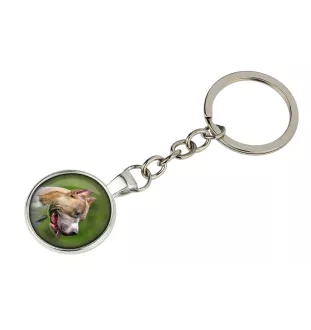 Pit Bull, American Pit Bull Terrier, Pitbull, APBT - porte-clés dans une boîte, photo personnelle, porte-clés de la marque Art-Dog