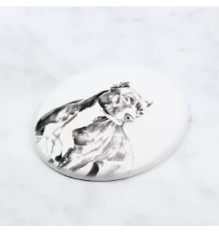 Pit Bull, American Pit Bull Terrier, Pitbull Terrier, APBT - commemorative plaque with a photo of a dog, tombstone with a print, personalized oval plaque from the Art-Dog brand