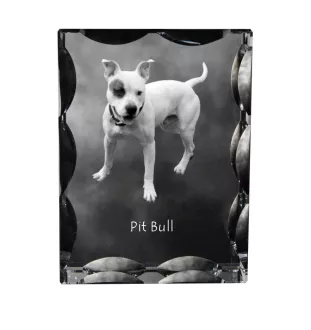 Pit Bull, American Pit Bull Terrier, Pitbull, APBT - Kristall mit einem Hundebild, Glasstatuette mit einem Bild, einzigartiger Bilderrahmen der Marke Art-Dog