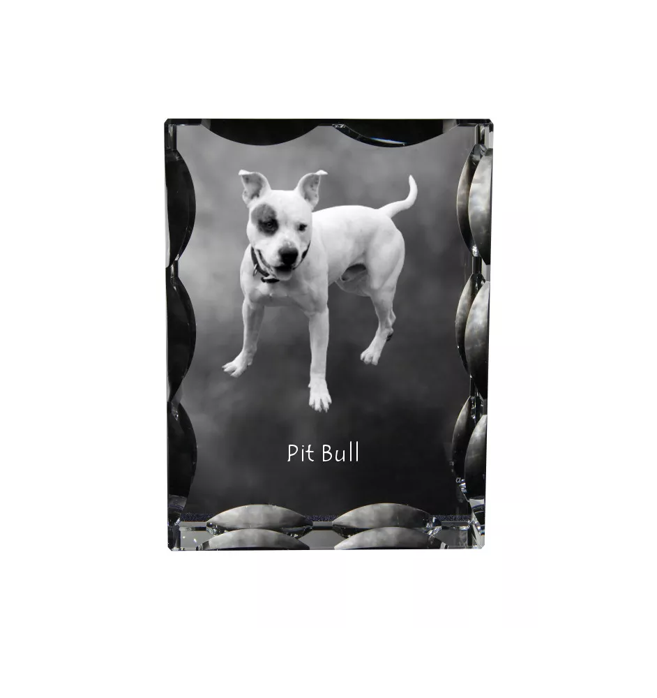 Pit Bull, American Pit Bull Terrier, Pitbull, APBT - cristal avec photo de chien, statuette en verre avec photo, cadre exceptionnel avec photo de la marque Art-Dog