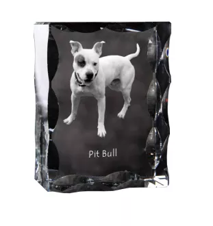 Pit Bull, American Pit Bull Terrier, Pitbull Terrier, APBT - crystal with a picture of a dog, glass statuette with a picture, unique frame with a picture from Art-Dog brand