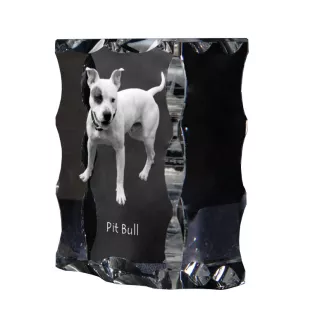 Pit Bull, American Pit Bull Terrier, Pitbull Terrier, APBT - crystal with a picture of a dog, glass statuette with a picture, unique frame with a picture from Art-Dog brand
