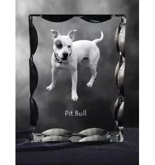 Pit Bull, American Pit Bull Terrier, Pitbull, APBT - cristal avec photo de chien, statuette en verre avec photo, cadre exceptionnel avec photo de la marque Art-Dog