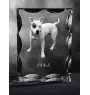 Pit Bull, American Pit Bull Terrier, Pitbull Terrier, APBT - crystal with a picture of a dog, glass statuette with a picture, unique frame with a picture from Art-Dog brand