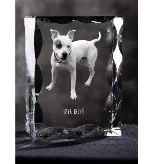 Pit Bull, American Pit Bull Terrier, Pitbull Terrier, APBT - crystal with a picture of a dog, glass statuette with a picture, unique frame with a picture from Art-Dog brand