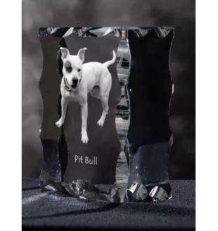 Pit Bull, American Pit Bull Terrier, Pitbull Terrier, APBT - crystal with a picture of a dog, glass statuette with a picture, unique frame with a picture from Art-Dog brand