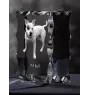 Pitbull, Pit Bull ramka kryształowa z psem Art-Dog
