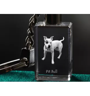 Pit Bull, American Pit Bull Terrier, Pitbull, APBT - Porte-clés en cristal avec photo de chien, porte-clés lumineux, cadeau unique de la marque Art-Dog