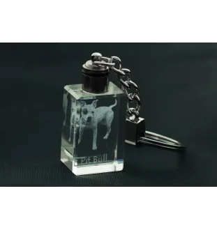 Pit Bull, American Pit Bull Terrier, Pitbull Terrier, APBT - Crystal key ring with dog photo, illuminated key ring, unique gift by Art-Dog brand