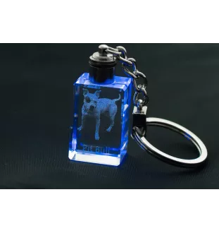 Pit Bull, American Pit Bull Terrier, Pitbull, APBT - Schlüsselanhänger aus Kristall mit Hundefoto, beleuchteter Schlüsselanhänger, einzigartiges Geschenk der Marke Art-Dog