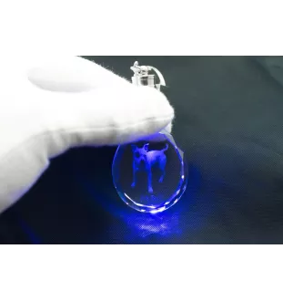 Pit Bull, American Pit Bull Terrier, Pitbull Terrier, APBT - pendant with a photo of a dog, crystal key ring in a gift box, a unique gift by Art-Dog