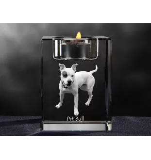 Pitbull, Pit Bull świecznik kryształowy z psem Art-Dog