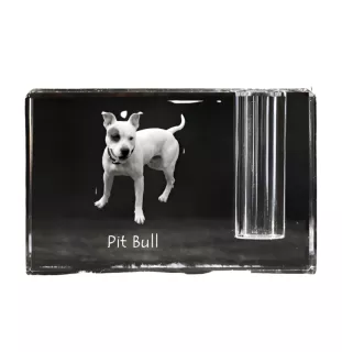 Pit Bull, American Pit Bull Terrier, Pitbull, APBT - Stifthalter, Kristallorganizer mit Hundefoto, einzigartige Schreibtischdekoration der Marke Art-Dog