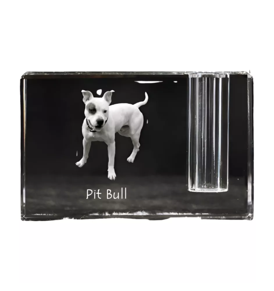 Pit Bull, American Pit Bull Terrier, Pitbull, APBT - Porte-stylos, organiseur en cristal avec photo de chien, décoration de bureau unique par la marque Art-Dog