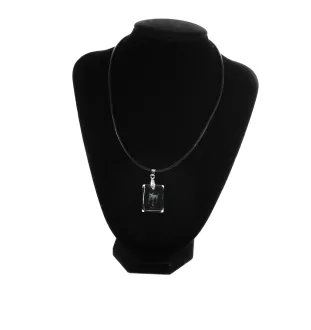 Pit Bull, American Pit Bull Terrier, Pitbull Terrier, APBT - Crystal dog pendant, photo necklace, unique jewellery by Art-Dog