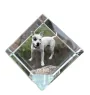 Pit Bull, American Pit Bull Terrier, Pitbull Terrier, APBT - crystal cube with a photo, photo of a horse in crystal, cubic paperweight from Art-Dog brand