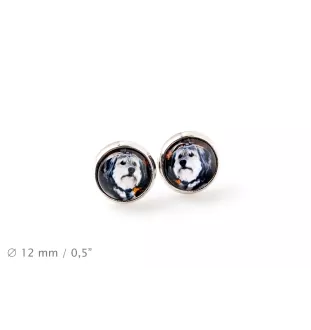 Berger polonais de plaine - boucles d'oreilles votre photo faite à la main, votre propre photo, bijoux de la marque Art.-Dog