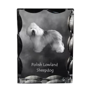 Polish Lowland Sheepdog, PON, Valee Sheepdog - crystal with a picture of a dog, glass statuette with a picture, unique frame with a picture from Art-Dog brand