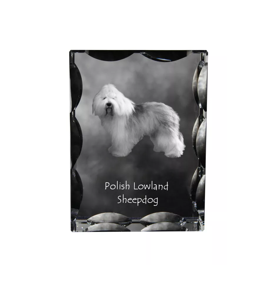 Polish Lowland Sheepdog, PON, Valee Sheepdog - crystal with a picture of a dog, glass statuette with a picture, unique frame with a picture from Art-Dog brand