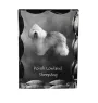 Polish Lowland Sheepdog, PON, Valee Sheepdog - crystal with a picture of a dog, glass statuette with a picture, unique frame with a picture from Art-Dog brand