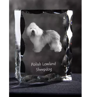 Polish Lowland Sheepdog, PON, Valee Sheepdog - crystal with a picture of a dog, glass statuette with a picture, unique frame with a picture from Art-Dog brand