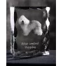 Polish Lowland Sheepdog, PON, Valee Sheepdog - crystal with a picture of a dog, glass statuette with a picture, unique frame with a picture from Art-Dog brand