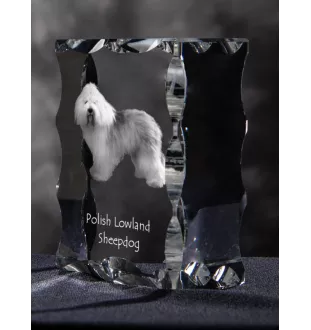 Polish Lowland Sheepdog, PON, Valee Sheepdog - crystal with a picture of a dog, glass statuette with a picture, unique frame with a picture from Art-Dog brand