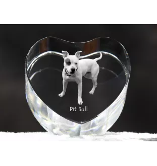 Pit Bull, American Pit Bull Terrier, Pitbull, APBT - une photo de chien dans un cristal, un cœur en cristal, un cadre photo exceptionnel de la marque Art-Dog