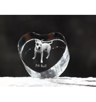 Pit Bull, American Pit Bull Terrier, Pitbull, APBT - une photo de chien dans un cristal, un cœur en cristal, un cadre photo exceptionnel de la marque Art-Dog