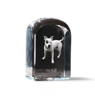 Pit Bull, American Pit Bull Terrier, Pitbull Terrier, APBT - crystal cube with a photo, photo of a dog in crystal, cubic paperweight from Art-Dog brand