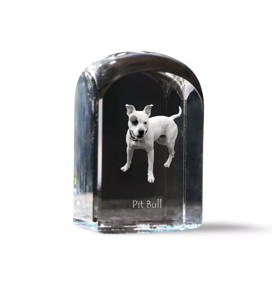 Pit Bull, American Pit Bull Terrier, Pitbull, APBT - Kristallwürfel mit Bild, Hundebild im Kristall, sechseckiger Papierclip von Art-Dog.