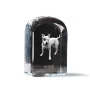 Pit Bull, American Pit Bull Terrier, Pitbull Terrier, APBT - crystal cube with a photo, photo of a dog in crystal, cubic paperweight from Art-Dog brand